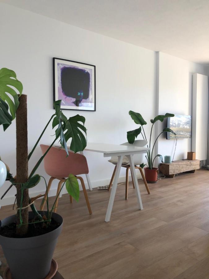 Appartement Biarritz Sud Экстерьер фото